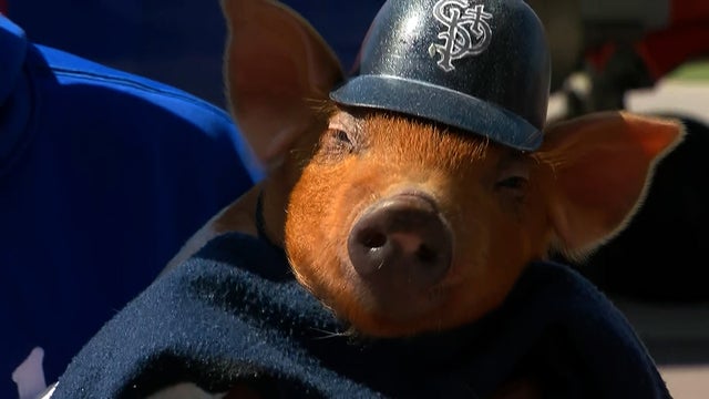 st.-paul-saints-mascot.jpg 