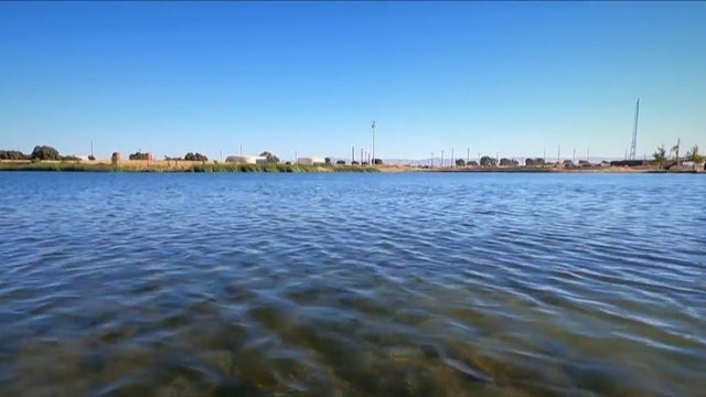 lathop-lake.jpeg 