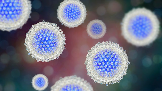 Hepatitis C Virus particles, illustration 