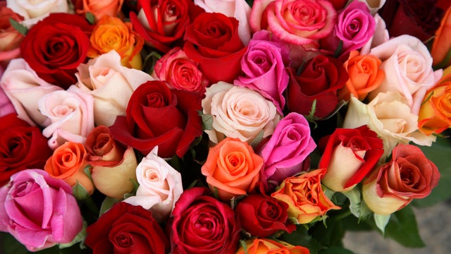 Roses for Sale at Flower Market 