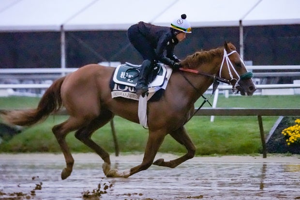 Preakness Stakes entry American Promise breezes during morning workouts at Pimlico Race Course