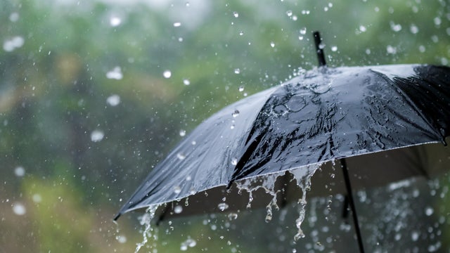It's raining heavily, wearing an umbrella during the rainy season 