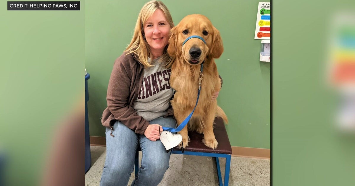 Melissa and Mark Hortman's work lives on through trained service dogs 